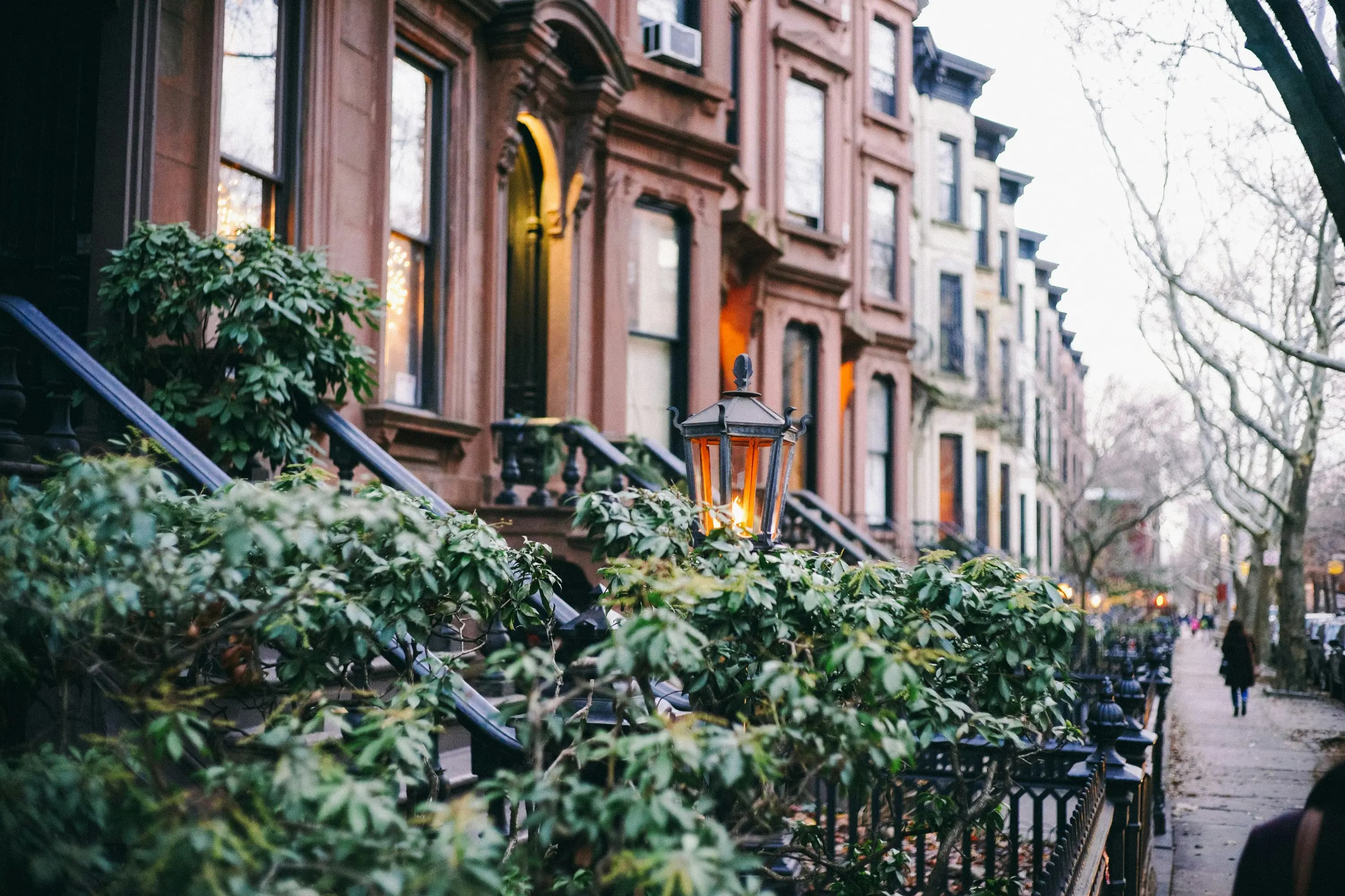 Brooklyn pest control by Rooftop Exterminating